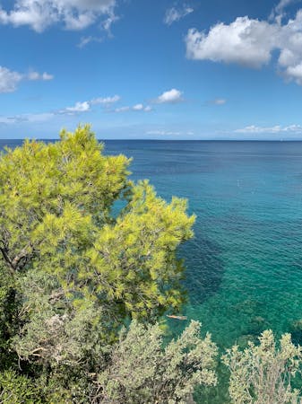 Viaggio Senza Preoccupazioni: Scopri i Prezzi Taxi Elba